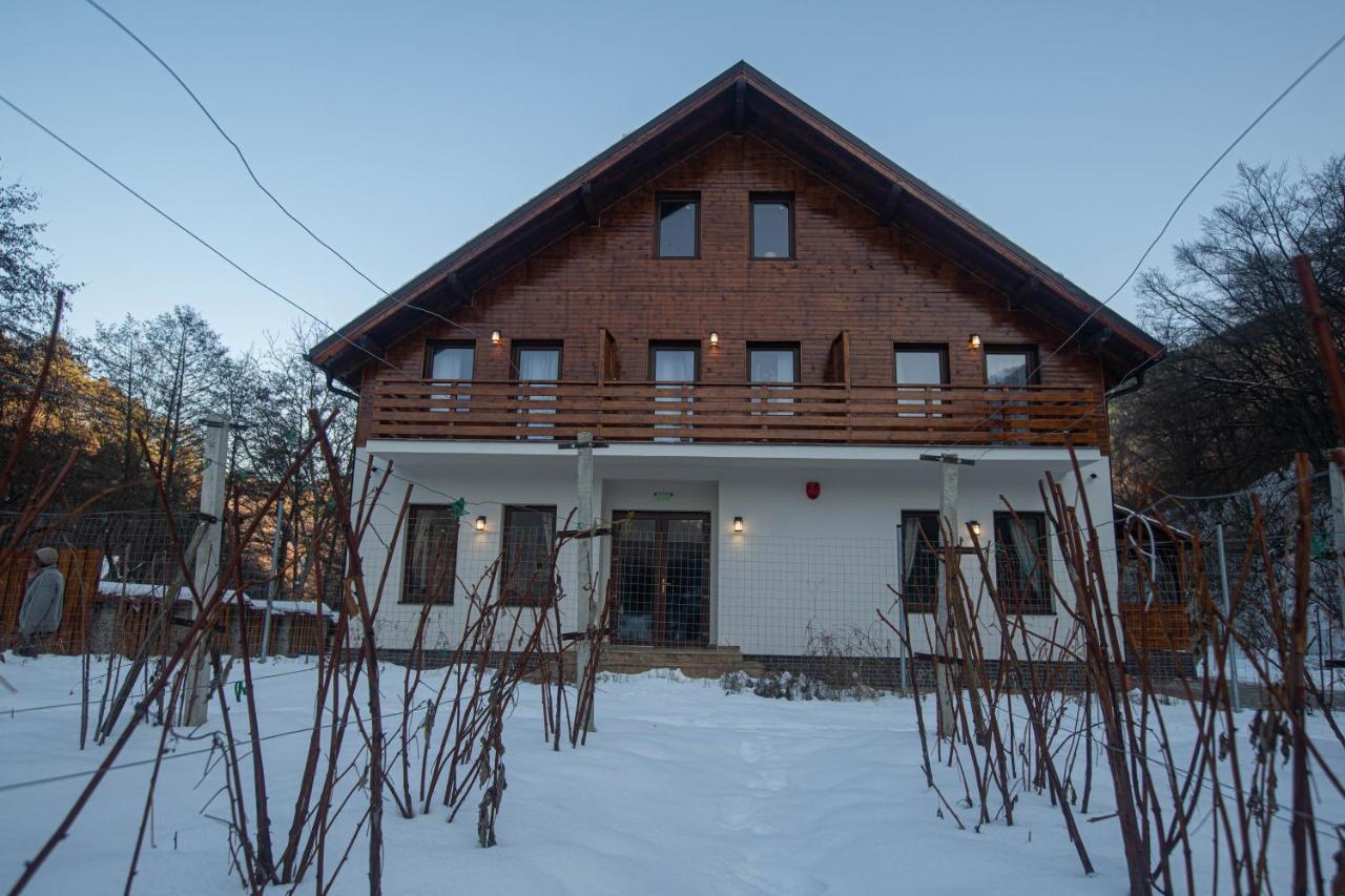 Livada Amely Hotel Szebengálos Kültér fotó