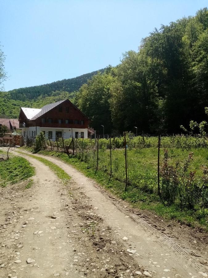 Livada Amely Hotel Szebengálos Kültér fotó