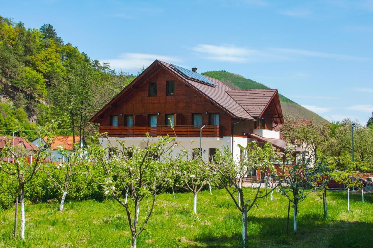 Livada Amely Hotel Szebengálos Kültér fotó