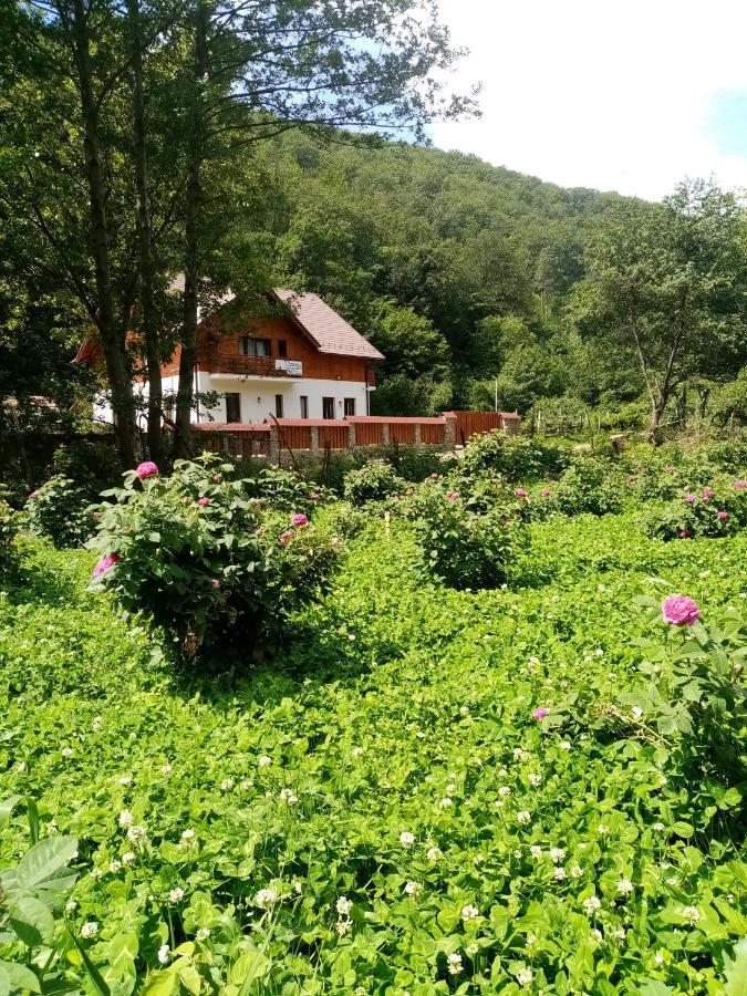 Livada Amely Hotel Szebengálos Kültér fotó