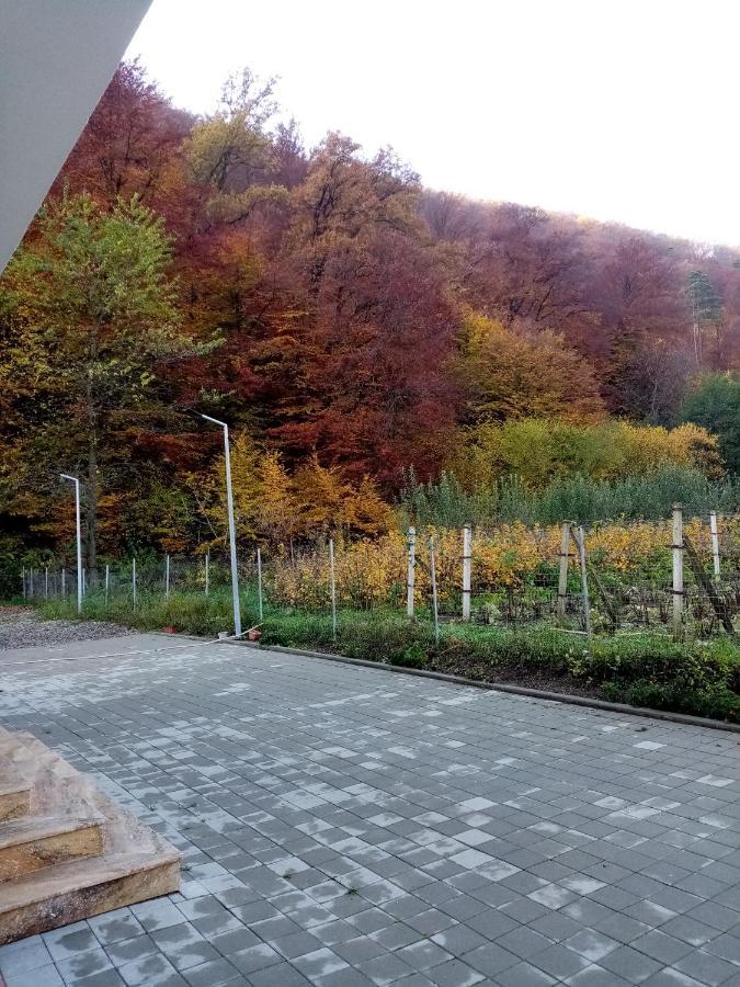 Livada Amely Hotel Szebengálos Kültér fotó