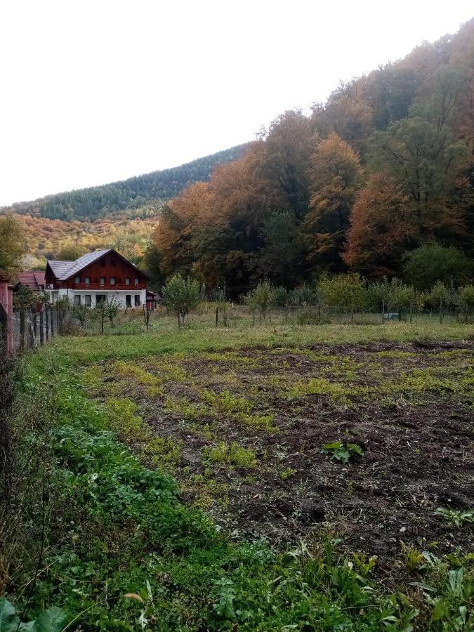 Livada Amely Hotel Szebengálos Kültér fotó